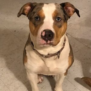 Meet your Posher, Phyllis